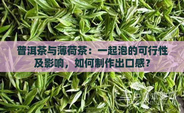 普洱茶与薄荷茶：一起泡的可行性及影响，如何制作出口感？