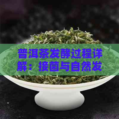 普洱茶发酵过程详解：接菌与自然发酵的差异及其对茶叶品质的影响