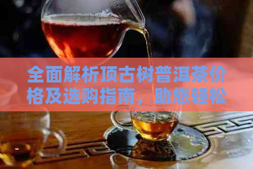 全面解析顶古树普洱茶价格及选购指南，助您轻松挑选优质茶叶