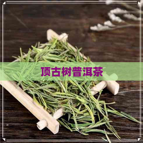 顶古树普洱茶