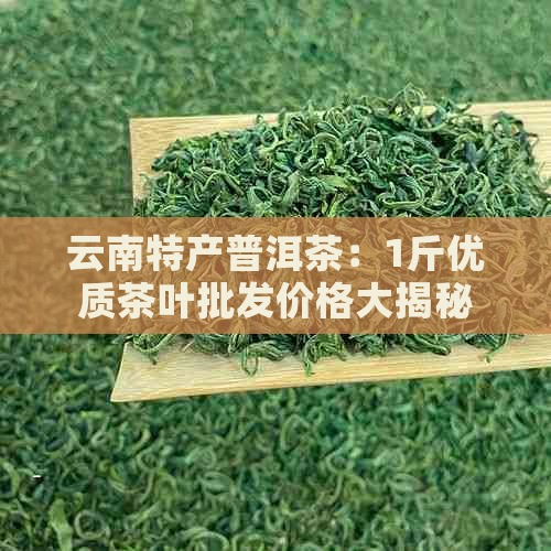 云南特产普洱茶：1斤优质茶叶批发价格大揭秘