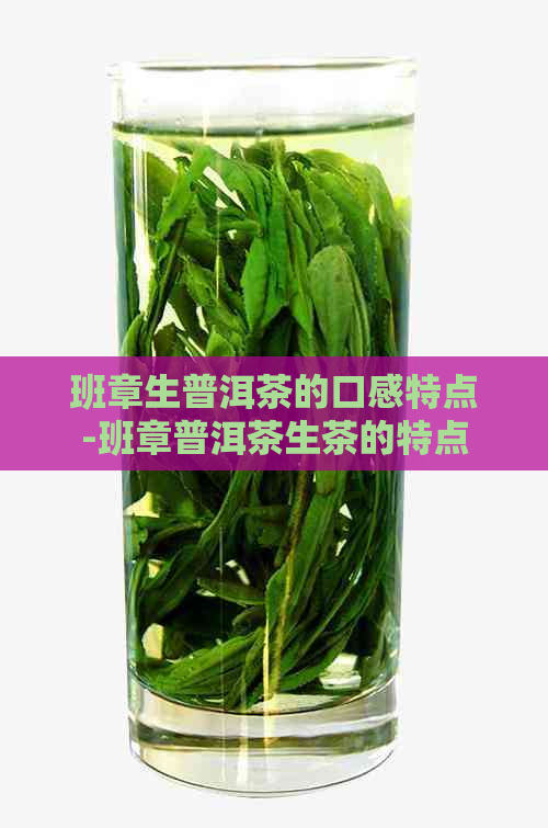 班章生普洱茶的口感特点-班章普洱茶生茶的特点