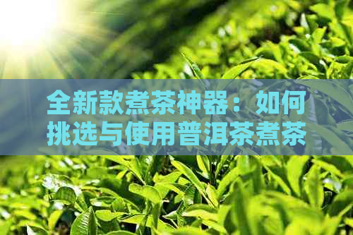 全新款煮茶神器：如何挑选与使用普洱茶煮茶器，让你的茶更美味