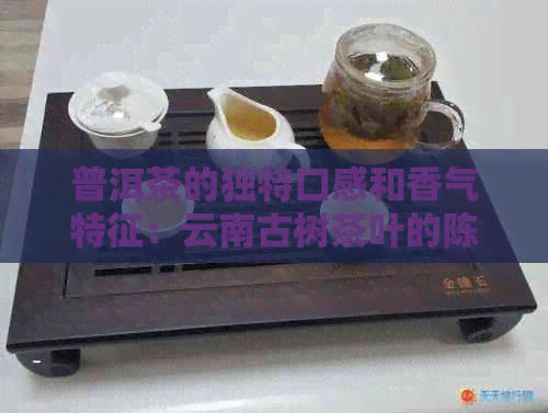 普洱茶的独特口感和香气特征：云南古树茶叶的陈化与发酵过程