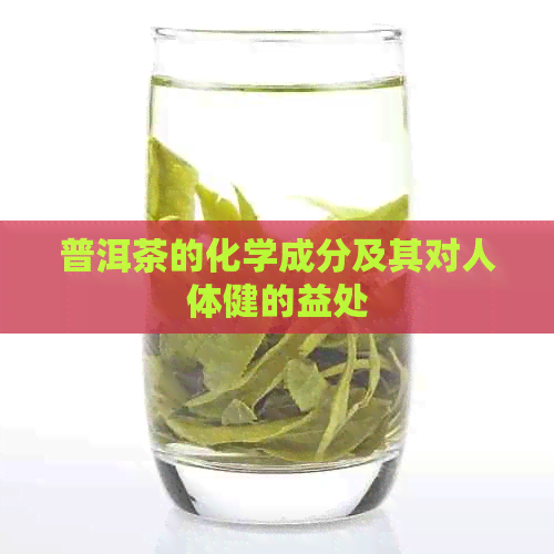 普洱茶的化学成分及其对人体健的益处