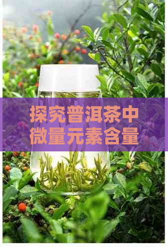 探究普洱茶中微量元素含量，揭示其独特营养价值