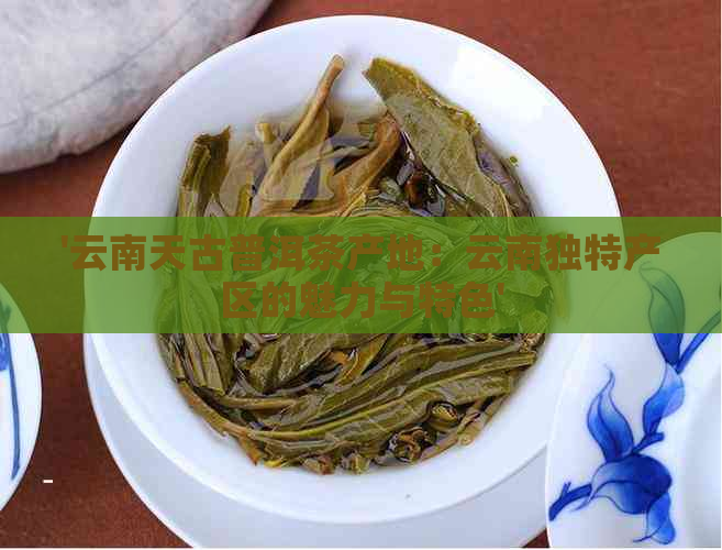 '云南天古普洱茶产地：云南独特产区的魅力与特色'