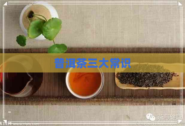 普洱茶三大常识