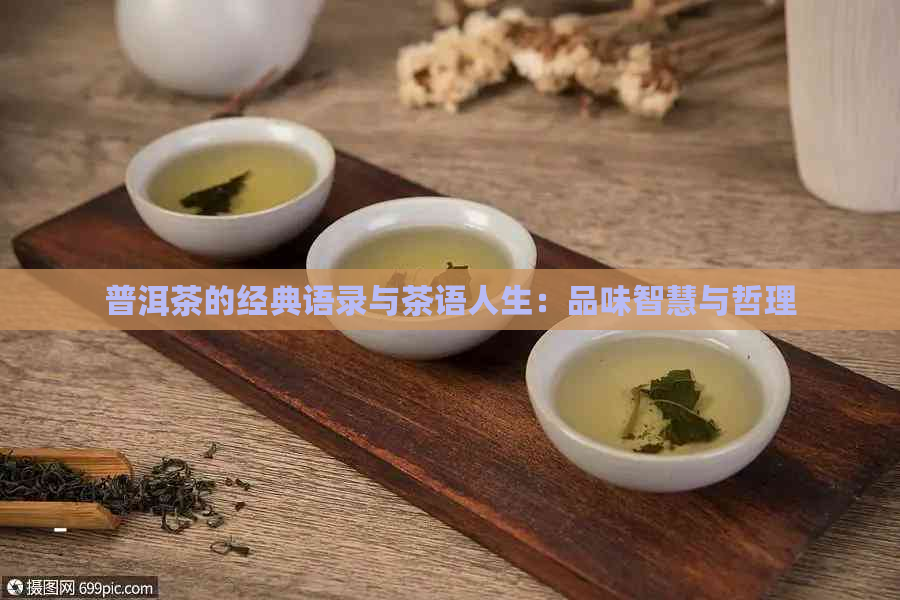 普洱茶的经典语录与茶语人生：品味智慧与哲理