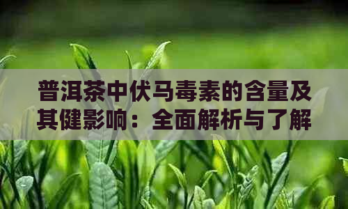 普洱茶中伏马素的含量及其健影响：全面解析与了解