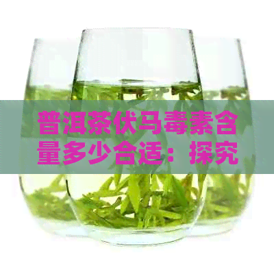 普洱茶伏马素含量多少合适：探究普洱茶中该素的安全水平。