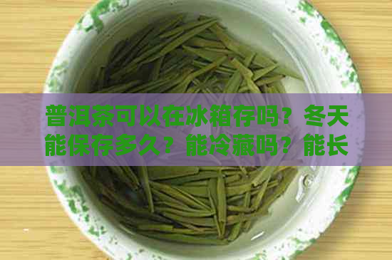 普洱茶可以在冰箱存吗？冬天能保存多久？能冷藏吗？能长期保管吗？