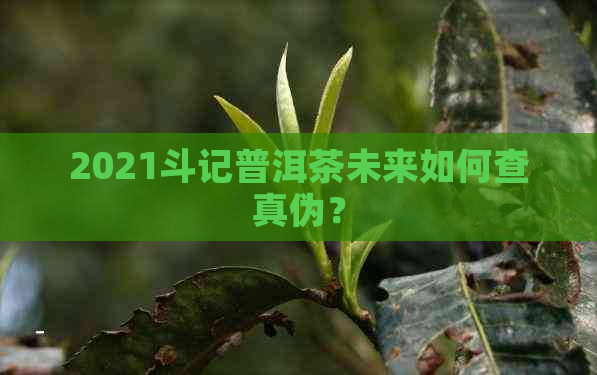 2021斗记普洱茶未来如何查真伪？