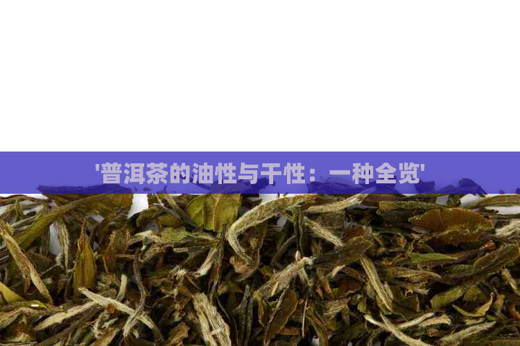 '普洱茶的油性与干性：一种全览'