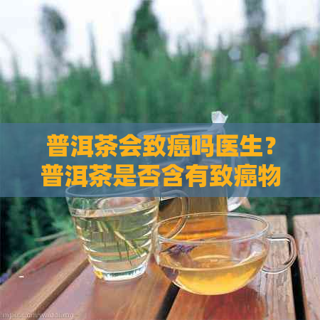 普洱茶会致癌吗医生？普洱茶是否含有致癌物质？普洱茶究竟会不会致癌？