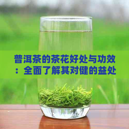 普洱茶的茶花好处与功效：全面了解其对健的益处