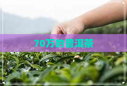 70万的普洱茶