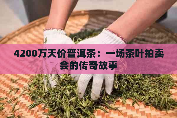 4200万天价普洱茶：一场茶叶拍卖会的传奇故事