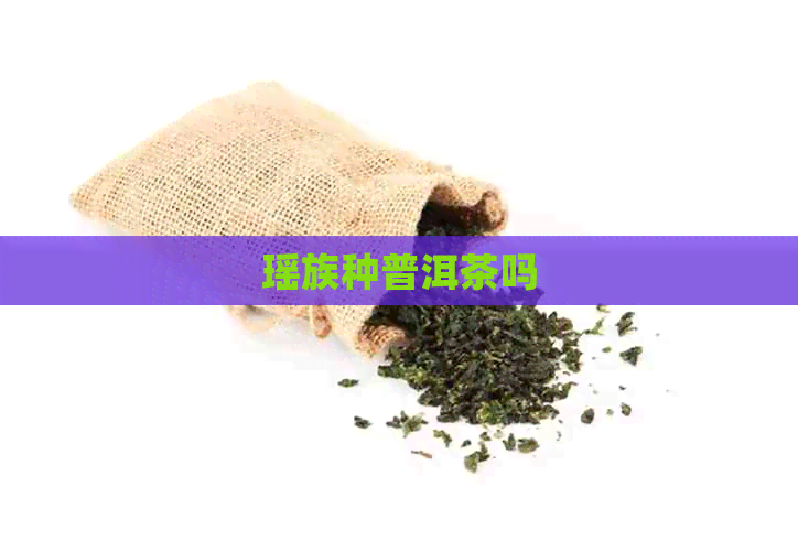 瑶族种普洱茶吗