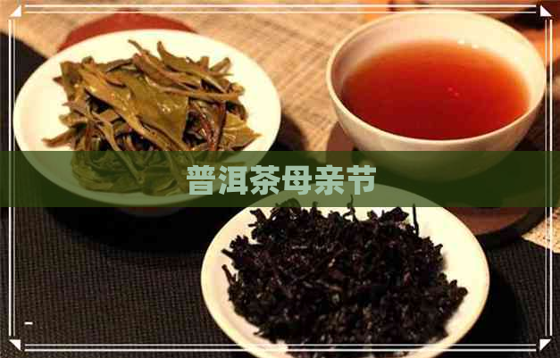 普洱茶母亲节