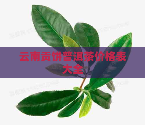 云南贡饼普洱茶价格表大全