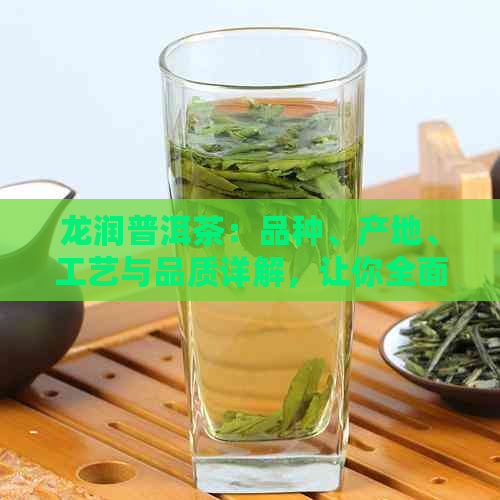 龙润普洱茶：品种、产地、工艺与品质详解，让你全面了解普洱茶的奥秘