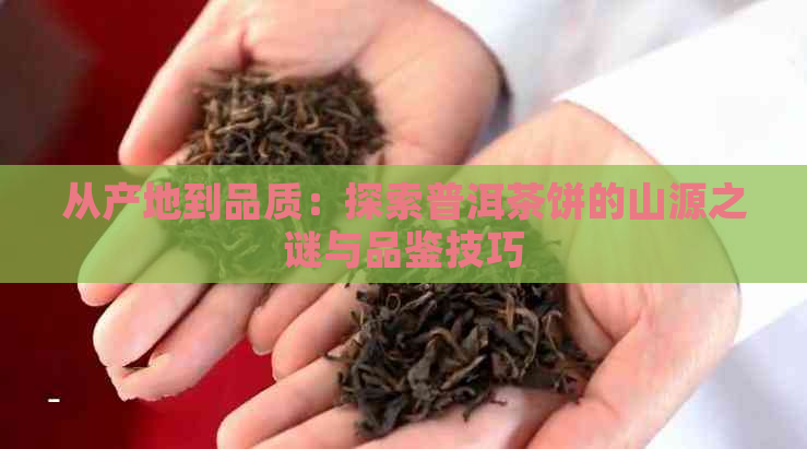 从产地到品质：探索普洱茶饼的山源之谜与品鉴技巧