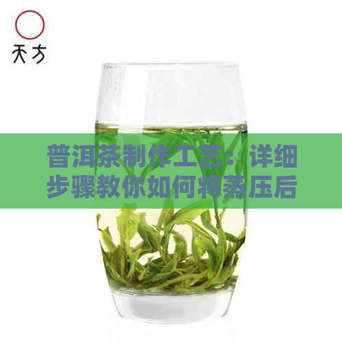 普洱茶制作工艺：详细步骤教你如何将蒸压后的茶叶压成饼状