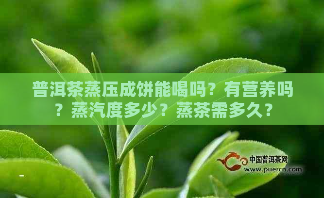 普洱茶蒸压成饼能喝吗？有营养吗？蒸汽度多少？蒸茶需多久？