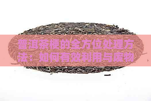 普洱茶梗的全方位处理方法：如何有效利用与废物利用