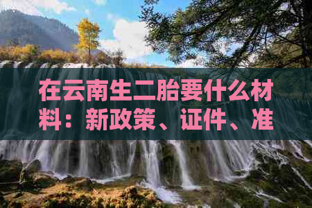 在云南生二胎要什么材料：新政策、证件、准生证和补贴全解析