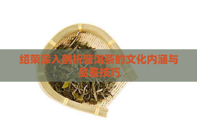 绍荣深入剖析普洱茶的文化内涵与品鉴技巧