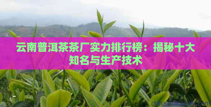 云南普洱茶茶厂实力排行榜：揭秘十大知名与生产技术