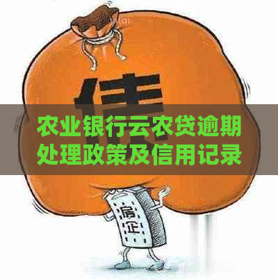 农业银行云农贷逾期处理政策及信用记录查询指南