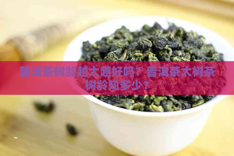 普洱茶树龄越大越好吗？普洱茶大树茶树龄知多少？