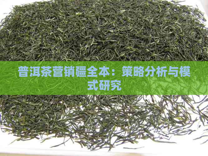 普洱茶营销疆全本：策略分析与模式研究