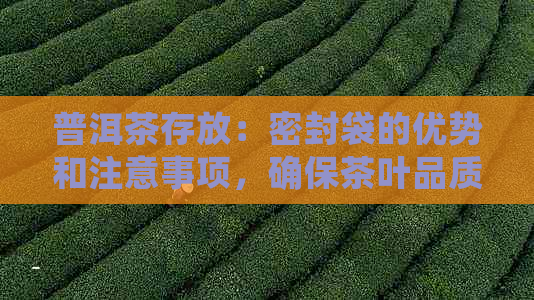 普洱茶存放：密封袋的优势和注意事项，确保茶叶品质和保存效果