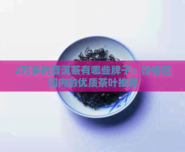 2万多的普洱茶有哪些牌子：价格区间内的优质茶叶推荐