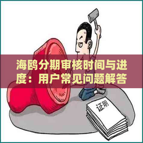 海鸥分期审核时间与进度：用户常见问题解答及详细流程解析