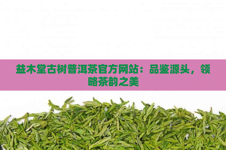 益木堂古树普洱茶官方网站：品鉴源头，领略茶韵之美