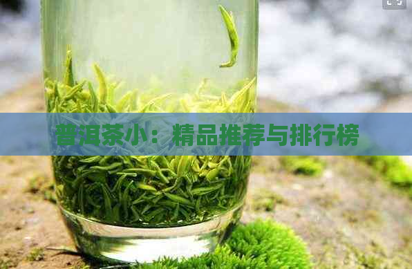 普洱茶小：精品推荐与排行榜