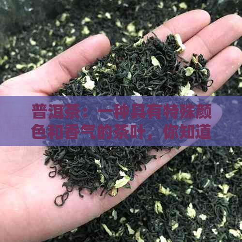 普洱茶：一种具有特殊颜色和香气的茶叶，你知道它的种类和泡法吗？