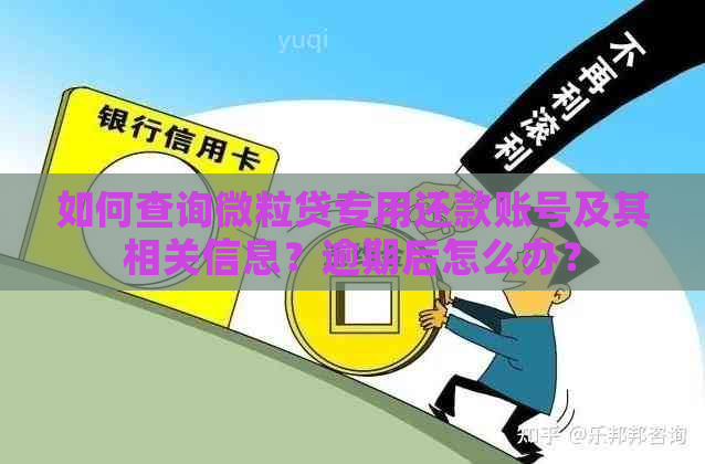 如何查询微粒贷专用还款账号及其相关信息？逾期后怎么办？