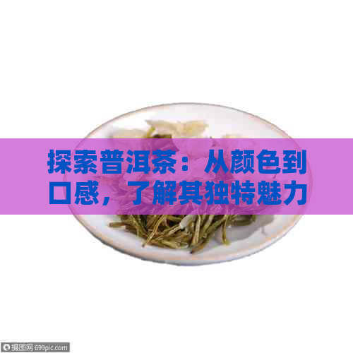 探索普洱茶：从颜色到口感，了解其独特魅力与风味