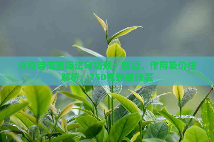 滇藏普洱茶喝法与功效：禁忌、作用及价格解析，250克熟茶砖装