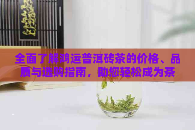 全面了解鸿运普洱砖茶的价格、品质与选购指南，助您轻松成为茶叶专家