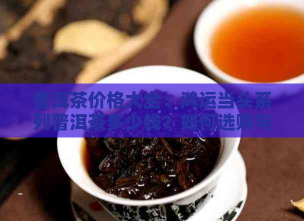 普洱茶价格大全：鸿运当头系列普洱茶多少钱？如何选购与品鉴？