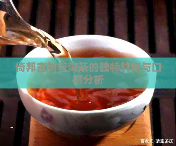 倚邦古树普洱茶的独特韵味与口感分析