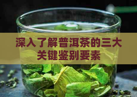 深入了解普洱茶的三大关键鉴别要素