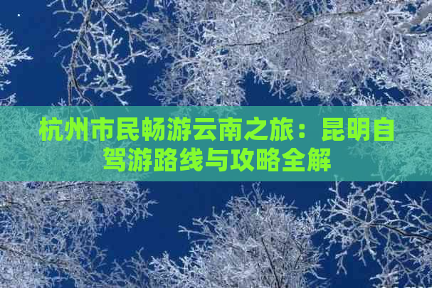 杭州市民畅游云南之旅：昆明自驾游路线与攻略全解